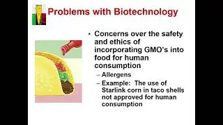 Lecture # 4 Problems with Biotechnology