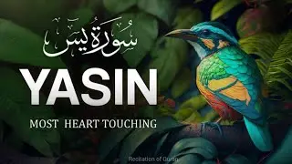 |Most beautiful recitation of surah Yaseen |(سورة يس‎)#recitationofquram #viralvideos