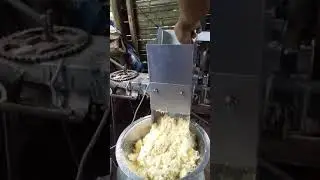 Electric Cassava Grater