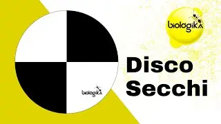 ¿CÓMO USAR EL DISCO SECCHI? - BIOLÓGIKA