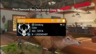 Crazy Hunt On te Awaroa 