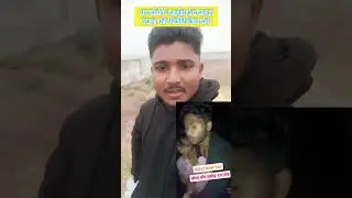 💔💔 aaj ka taja video #reel #funny #viral #comedymemes #comedy #comdeyclub #
