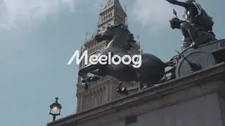 Discover Style, Protection, and Adventure with Meeloog Sunglasses