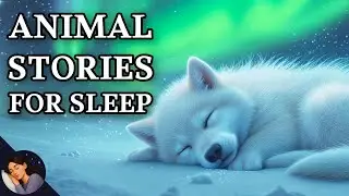 You Are a White Wolf &ndash; Gentle Sleep Story for Adults