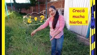 Unboxing, armado y review de desbrozadora