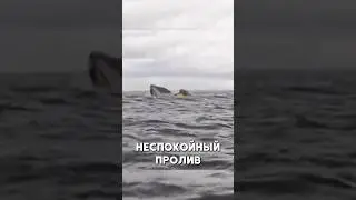 Горбатый кит ПРОГЛОТИЛ экстремала на каяке 😱