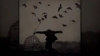 Solitario - Volar
