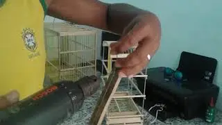 Como faser suas molas do canto das gaiolas