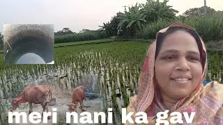 Nani Ke Gaav Ka Tour | Village Life India | Desi Village Vlog