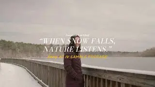 My Sony A7 IV Full Frame Mirrorless Camera 4K 4:2:2 10bit S-Log3 Sample Footage with Color Grade