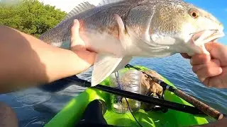 Smallest Kayak Catches Big Redfish - Lifetime Wave 60 Youth Kayak