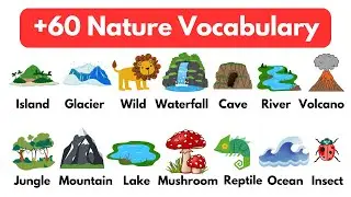 +60 Nature Words in English with Real Videos | Nature Vocabulary English