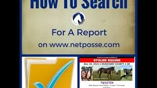 How To Search For A Report On Our Website ~ www.netposse.com