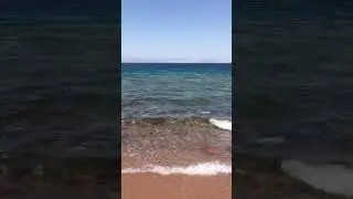 Red sea #beach Haqalbeach jordan border