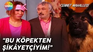 Pembe ve Yunus arasında köpek çekişmesi! | Cennet Mahallesi 41. Bölüm