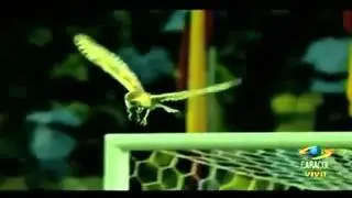 Colombian Owl Brings Dinner to Soccer Match (VIDEO) - Hispanically Speaking News.flv