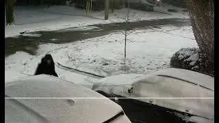 Meth addict running around into private driveways at night trying to break into cars in Ontario 