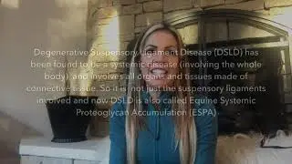 Gaited Horse Lameness - Degenerative Suspensory Ligament Disease