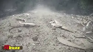 BRX01 Zil Hill Climb