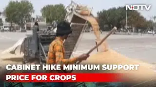 Minimum Support Price Hiked For 6 Crops, Including Wheat