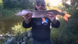 2014 Lucky bug lure company field test in Eastern Ontario and Western Quebec  by Local Bassholes www