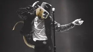 Smooth Criminal by Michael Jackson but he's a monkey