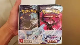 Pokemon | Chilling Reign Booster Box | Pack A Day #14