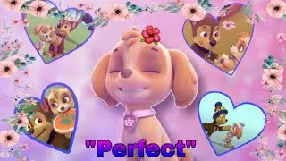 Paw Patrol| Perfect- Ed Sheeran  (Skase)