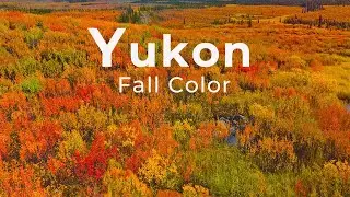 4K🇨🇦 Fly over Canada/ the most beautiful Fall Colors in Yukon/ tundra from above Mavic air 2