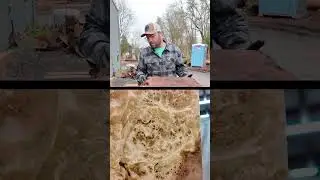 Dan talks about plans for Big Leaf Maple, some exciting stuff coming in the next few months, stay