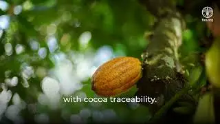 AIM4Commodities - Accelerating Innovative Monitoring for Forests and Commodities