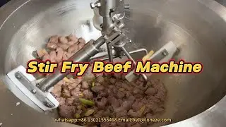Stir Fry Meat Industrial Cooking Pot Kettle with Stirrer Automatic Stir Fry Beef  Pan Mchine