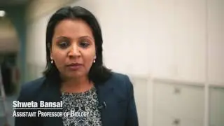 Georgetown Professor on Flu Myths #3