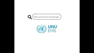 Riskepedia: Non-economic loss and damage