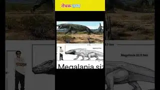 Megalania fact #youtube #amazingfacts #fcats #funfacts #worldfact #factsinhindi