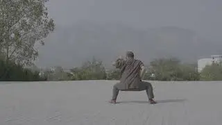 Shaolin Seven Star Fist - Standard Movements Instructional Video.
