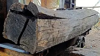 Surprising discovery of ancient log