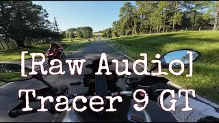 [Raw Audio] Tracer 9 GT | Quick Shifter | Stock Exhaust #motorcycle #yamaha #tracer9gt #florida #4k