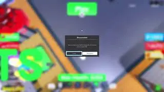 ROBLOX WITH BRO