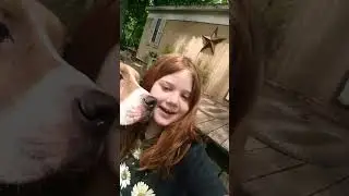 #doggyday♡