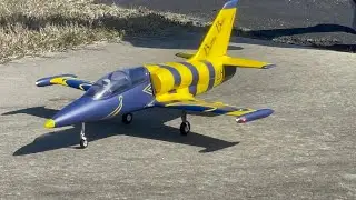 FlyFans Baltic Bee L-39 Albatros 64mm