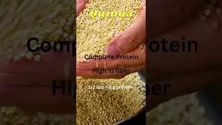 5 Excellent Non-Meat, Non Protein Powder Protein Sources That Won't Break the Bank!
