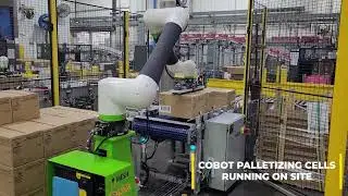 Collaborative Robots by MESH Automation: Safe and Efficient Automation Solutions