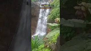 An easy one day trek with waterfall Rappelling Near Mumbai ideal for beginners.