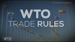 What is the WTO?