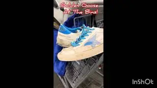 Golden Goose found at the Bins!