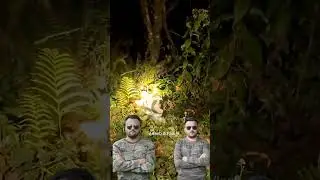 Mayodia Tiger Attack Arunachal Pradesh | Arunachal Tiger Attack On Biker Night | Adeeb Faisal Vlogs