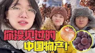 冰葡萄采收季终于到啦！探索零下20度的与世隔绝东北深山小岛！Ice grapes – a Chinese product you've never seen before【盗月社】