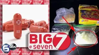 Tennessee sued for not releasing COVID report, Pfizer COVID pill approved & MORE │WATE's The Seven