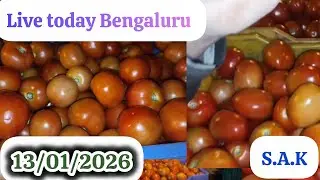 Live today Bengaluru #tomato market #today rate 13/01/2026 ಬೆಂಗಳೂರು ಟಮೋಟೊ ಮಾರ್ಕೆಟ್&zwnj; ಇವತ್ತಿನ ಬೆಲೆಗಳು